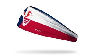 Lone Star Catching: Texas Flag Headband