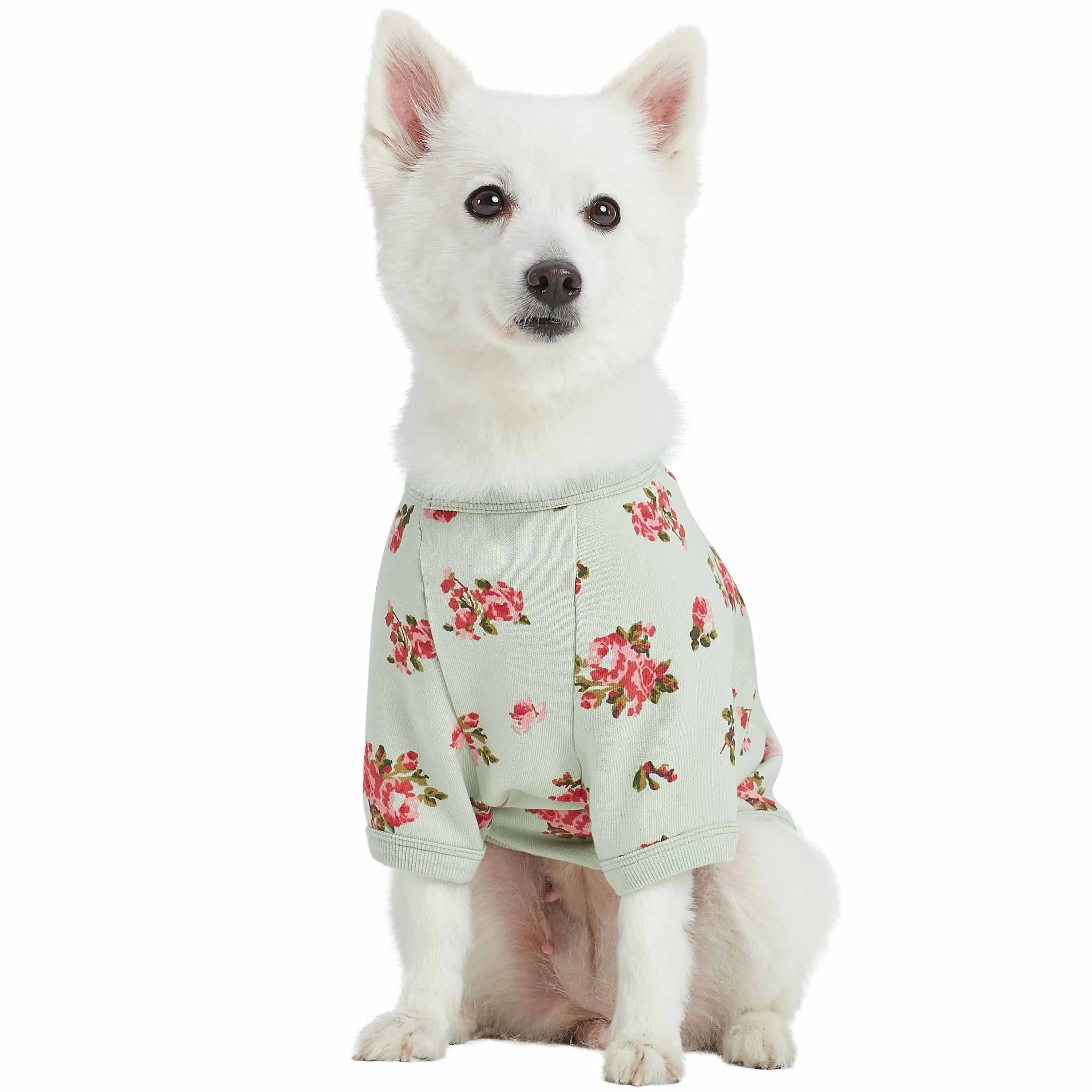 Spring Scent Inspired Flower Dog Sweatshirt Hoodie