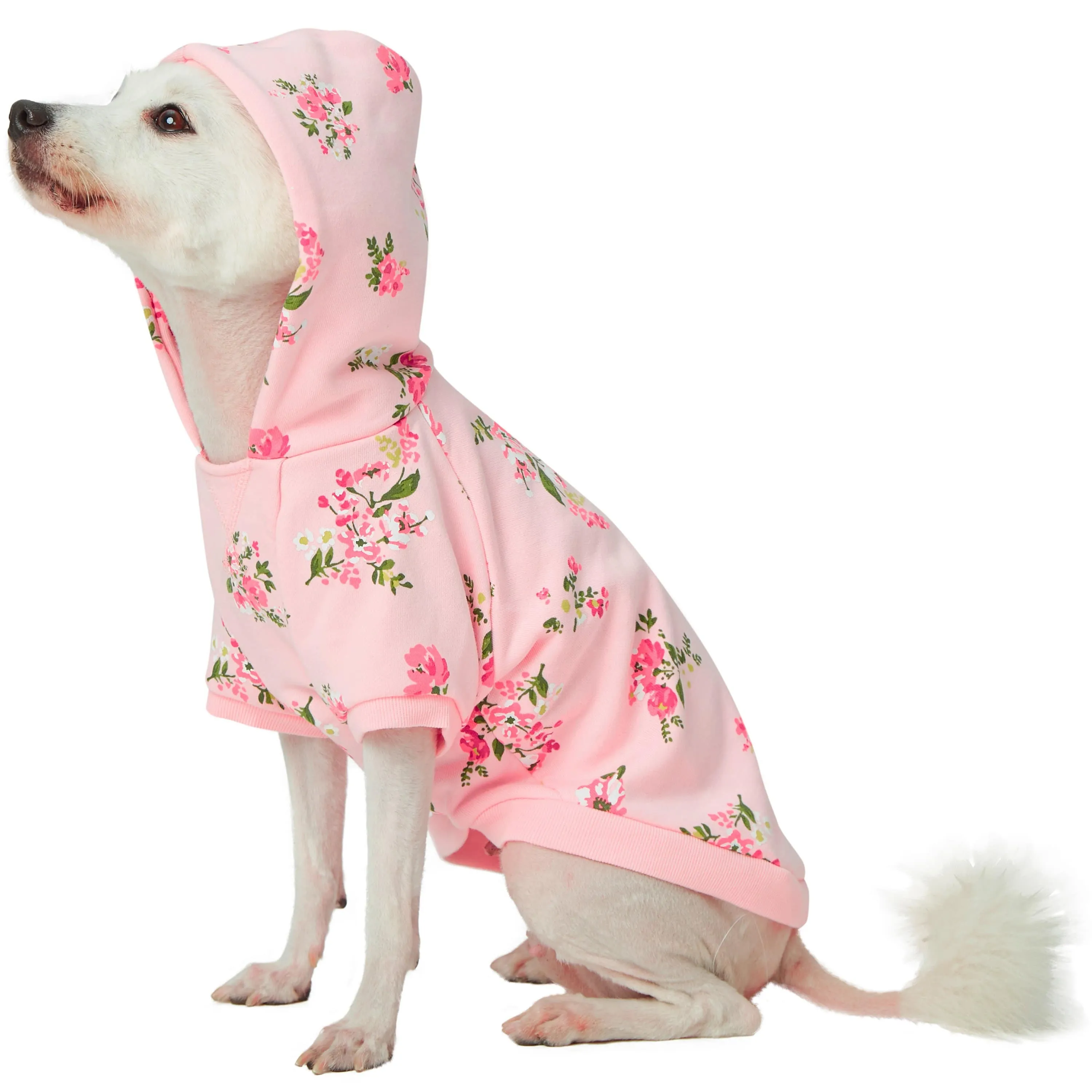 Spring Scent Inspired Flower Dog Sweatshirt Hoodie