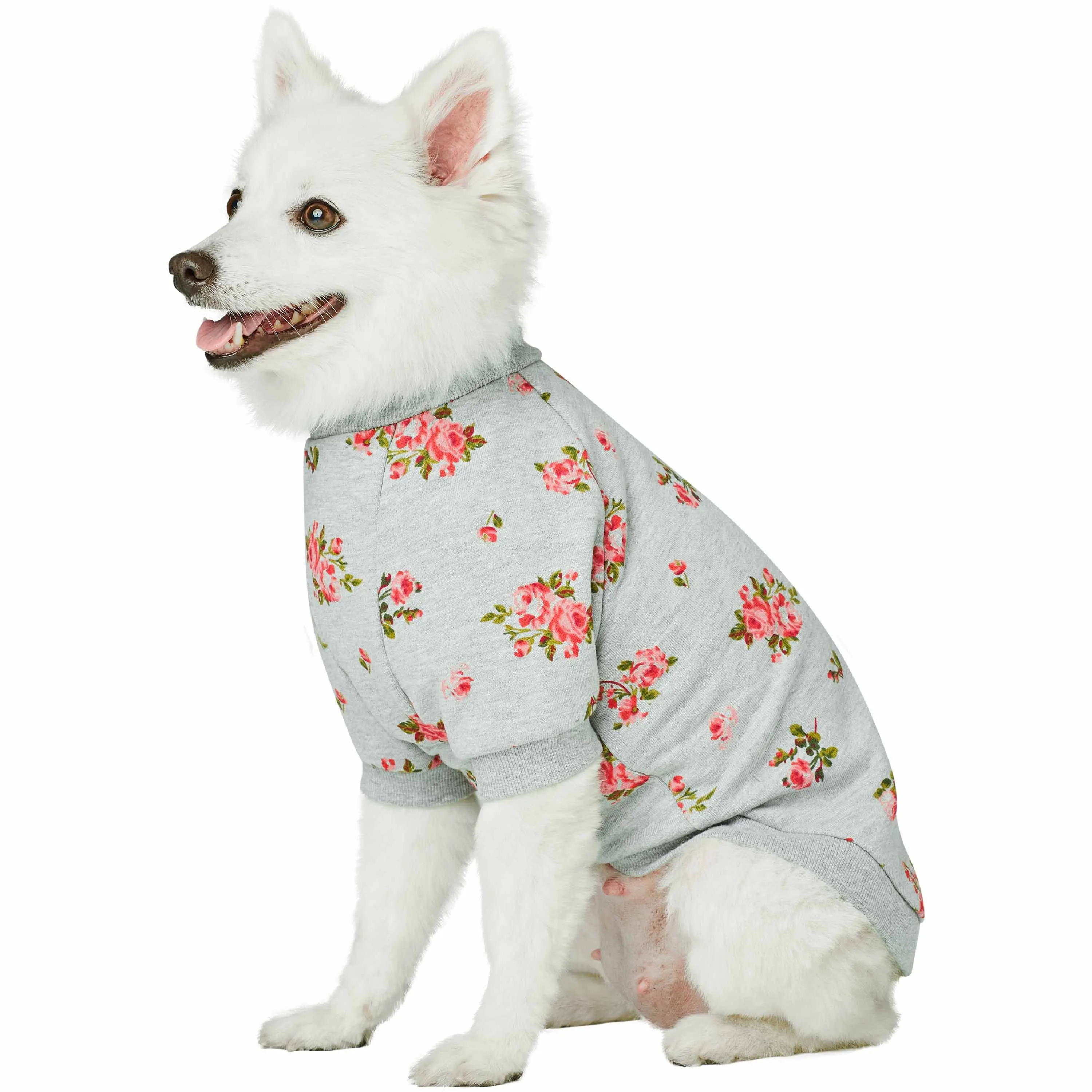 Spring Scent Inspired Flower Dog Sweatshirt Hoodie