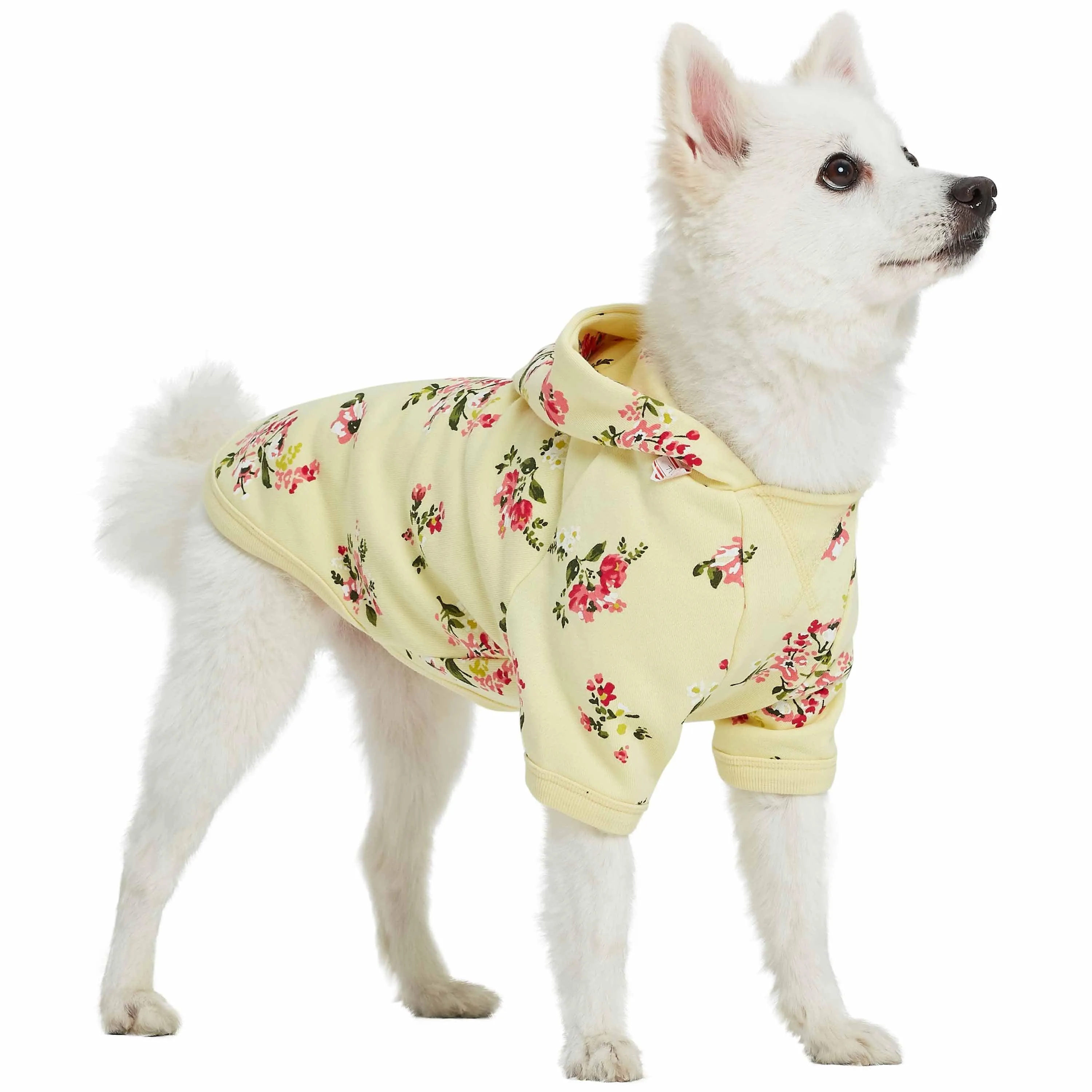 Spring Scent Inspired Flower Dog Sweatshirt Hoodie